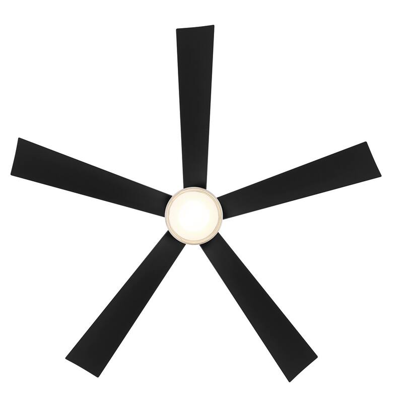 Wynd Indoor and Outdoor 5-Blade Smart Ceiling Fan 60in with 3000K LED Light Kit and Remote Control