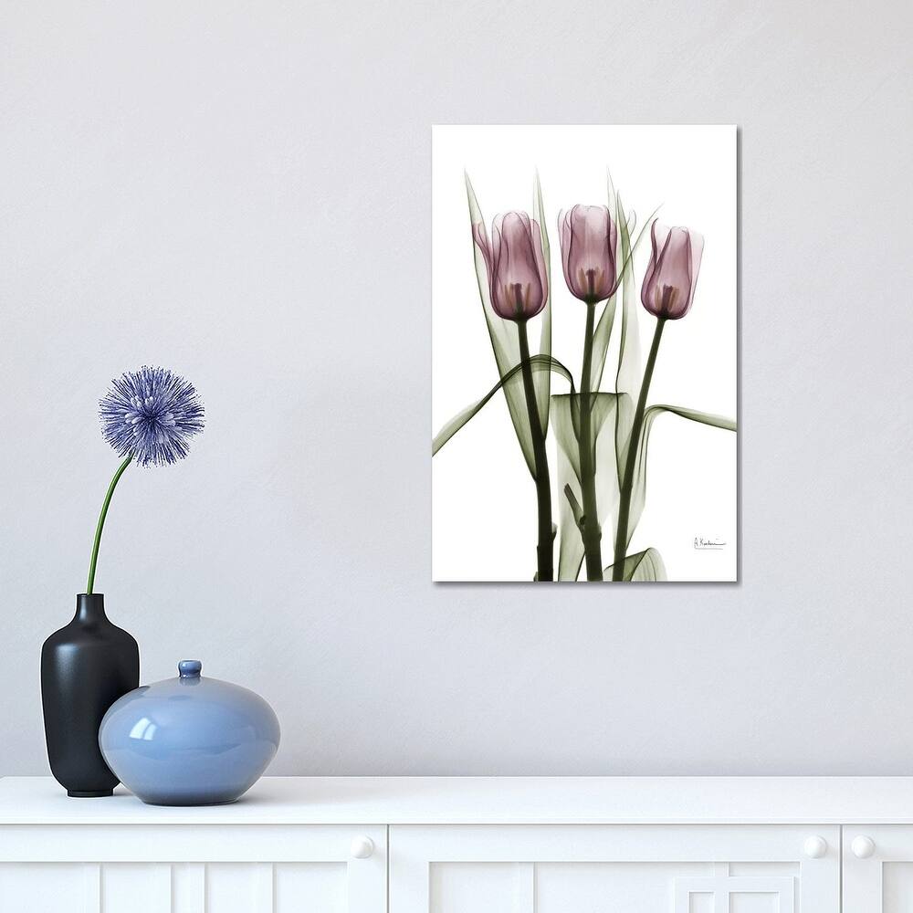 iCanvas "Tulips II" by Albert Koetsier Canvas Print