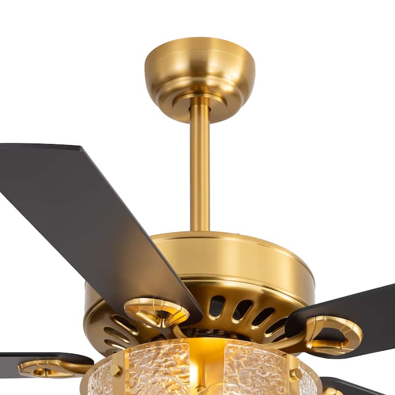 52" Reversible 5-Blade Caged Ceiling Fan with Light and Remote