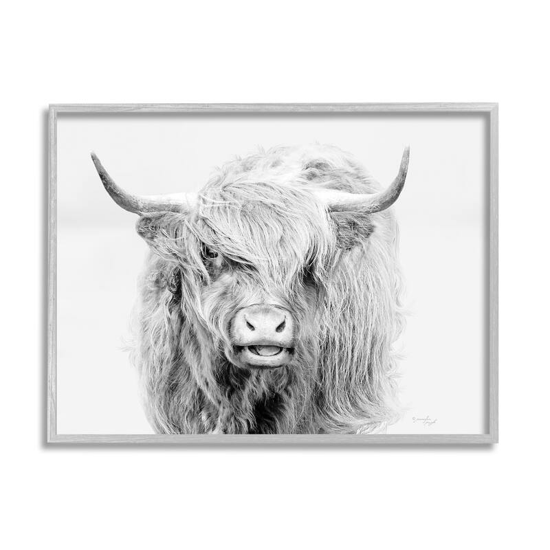 Stupell Expressive Highland Cattle Monochrome Animal Portrait Framed Wall Art, Design by Jennifer Pugh - 30 x 24 - Grey