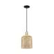 preview thumbnail 78 of 81, Innovations Lighting Endless Possibilities Arcadia - Bridal Veil - 1 Light 8" Cord Hung Mini Pendant Mercury/Black Antique Brass
