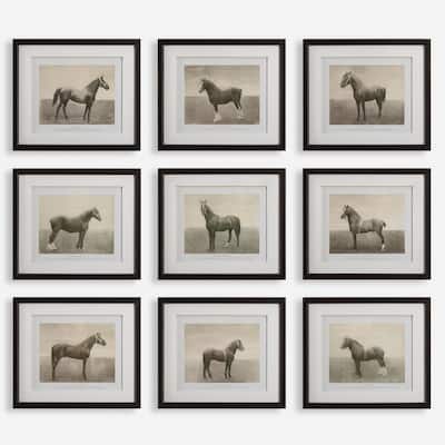 Uttermost Equine Dynasty Framed Prints, Set of 9