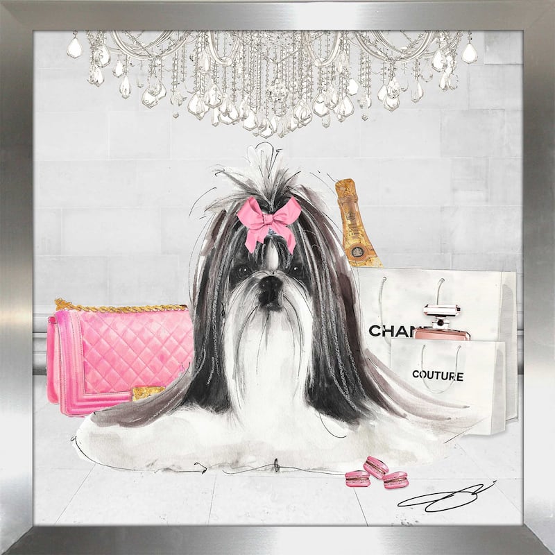 "Fashionista Shih Tzu" by Jodi Print on Acrylic