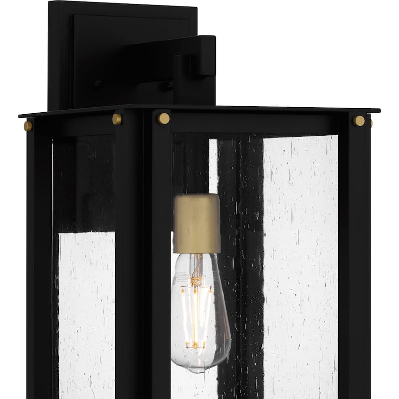 Robbins 1-Light Matte Black Outdoor Wall Lantern
