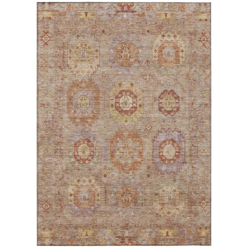 Machine Washable Indoor/ Outdoor Vintage Traditional Chantille Rug