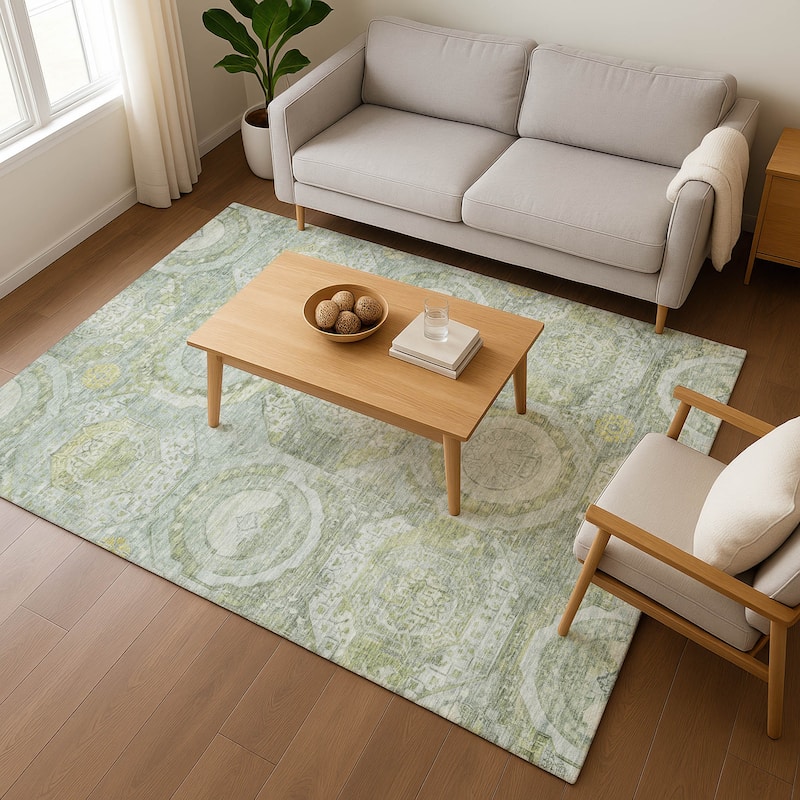 Premium Washable Super Soft Vintage Medallions Mayfield Rug