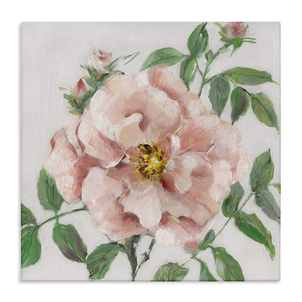 Stupell Traditional Single Pink Blossom Canvas Wall Art Design By Sally Swatland