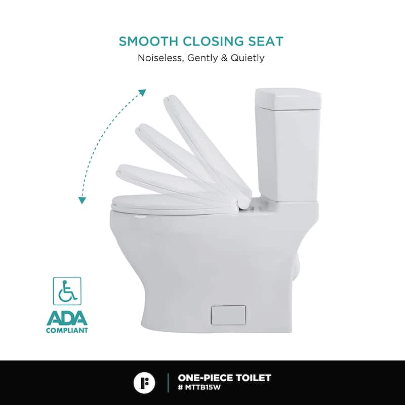 Fine Fxitures Modern Two Piece Elongated Toilet Ada Compliant