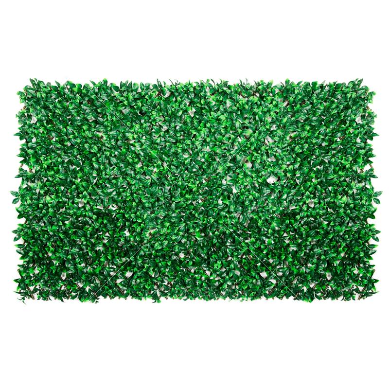 ColourTreeUSA 39" x 79" Expandable Artificial Gardenia Leaves Trellis Privacy Fencing Screen - 39" x 79" - 2 Pack
