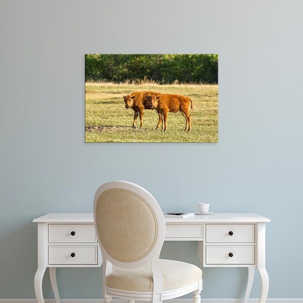 Easy Art Prints Chuck Haney's 'Bison Calves At Play' Premium Canvas Art