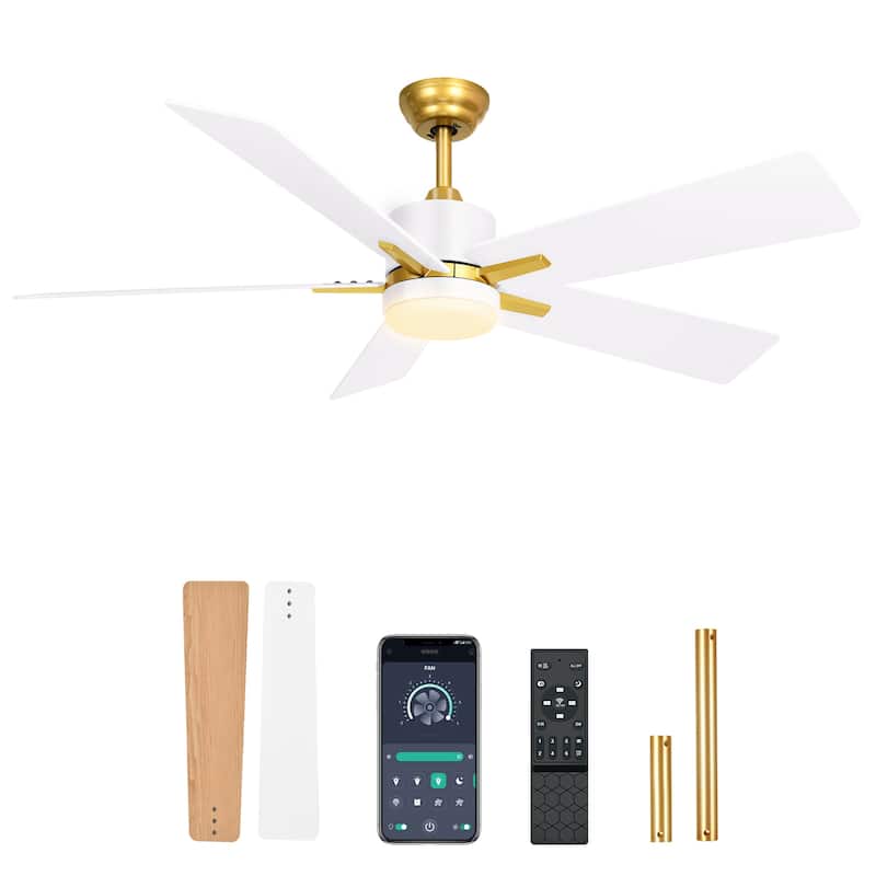Moasis 52 Inch Dimmable Ceiling Fan with Light Remote and APP Control