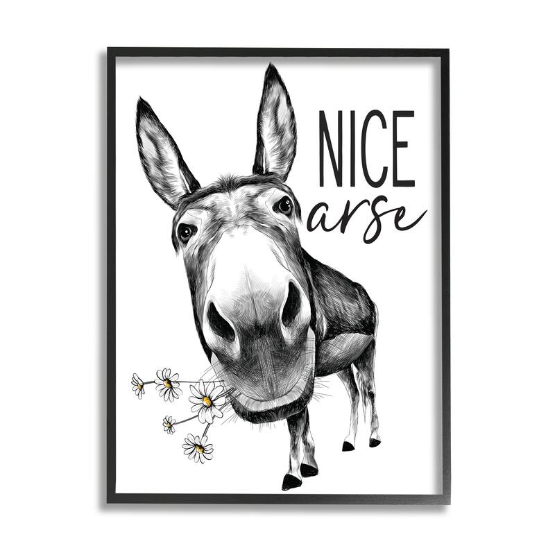 Stupell Nice Funny Donkey Pun White Daisey Flowers Framed Wall Art