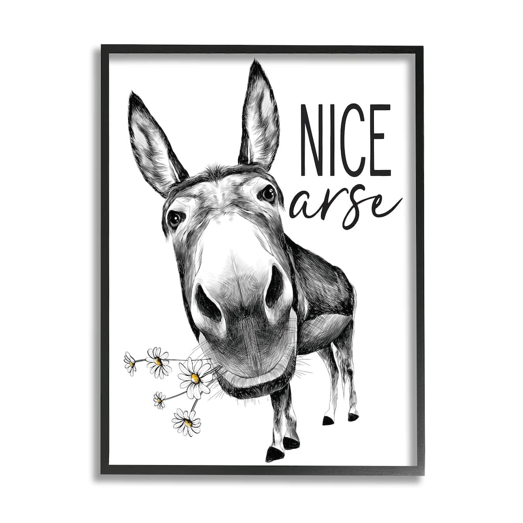 Stupell Nice Funny Donkey Pun White Daisey Flowers Framed Wall Art