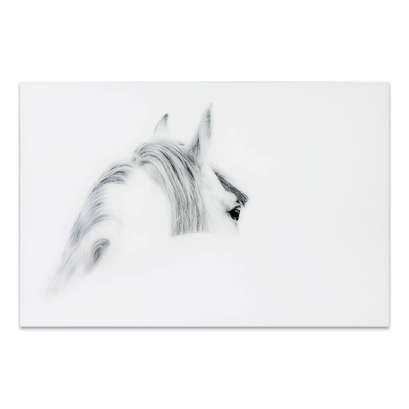 "Blanco Mare Horse" Frameless Free Floating Tempered Glass Panel Graphic Wall Art