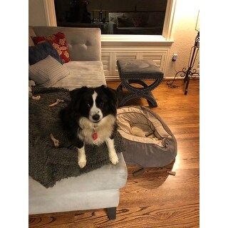 Safavieh Dante X-Bench Pewter Grey Ottoman