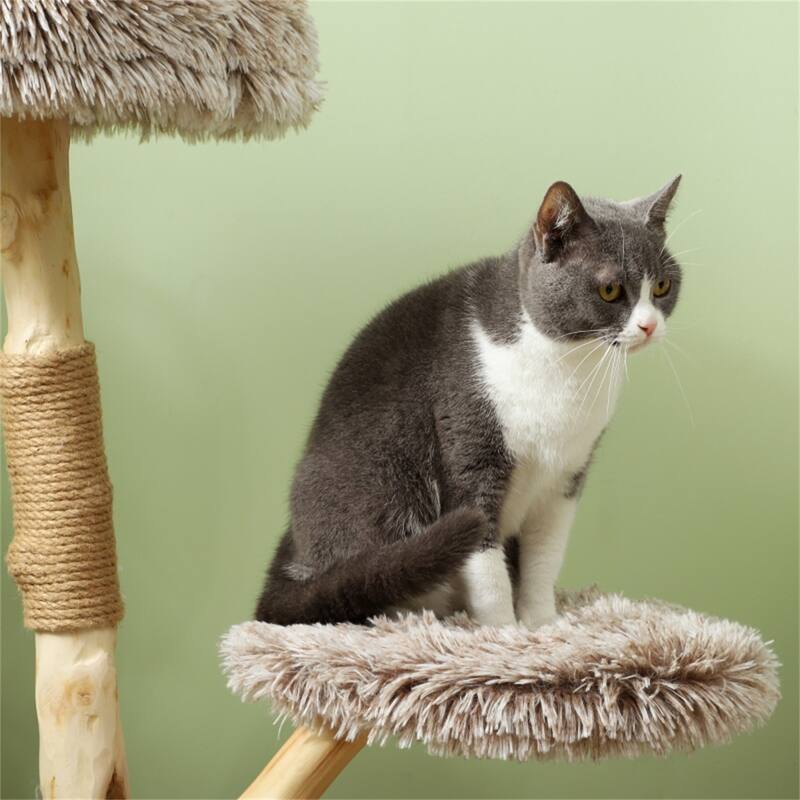 Cat Tree with Jute-Wrapped Scratching Post, Plush Bed & Rope Toy for Active Cats - 19.7" Dia. x 35.4" H