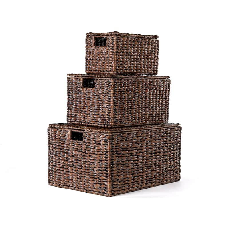 happimess Traditional Assorted Hand-Woven Hyacinth/Iron Baskets, (Set of 10)