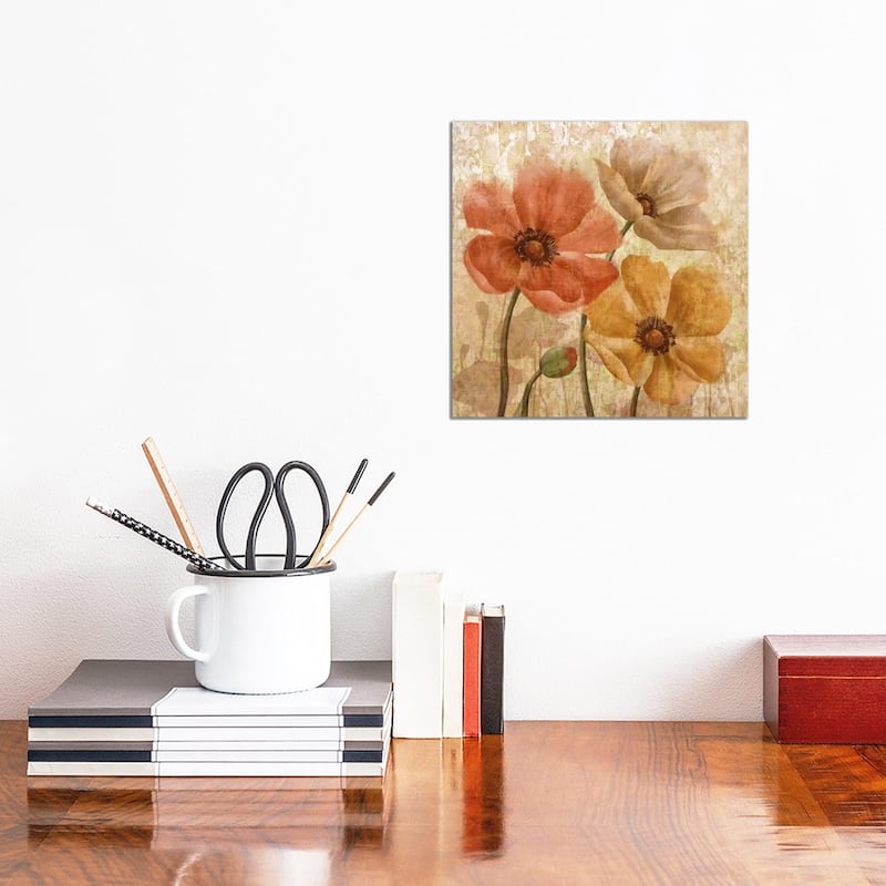 iCanvas "Poppy Allure I" by Conrad Knutsen Canvas Print - 12x12x0.75