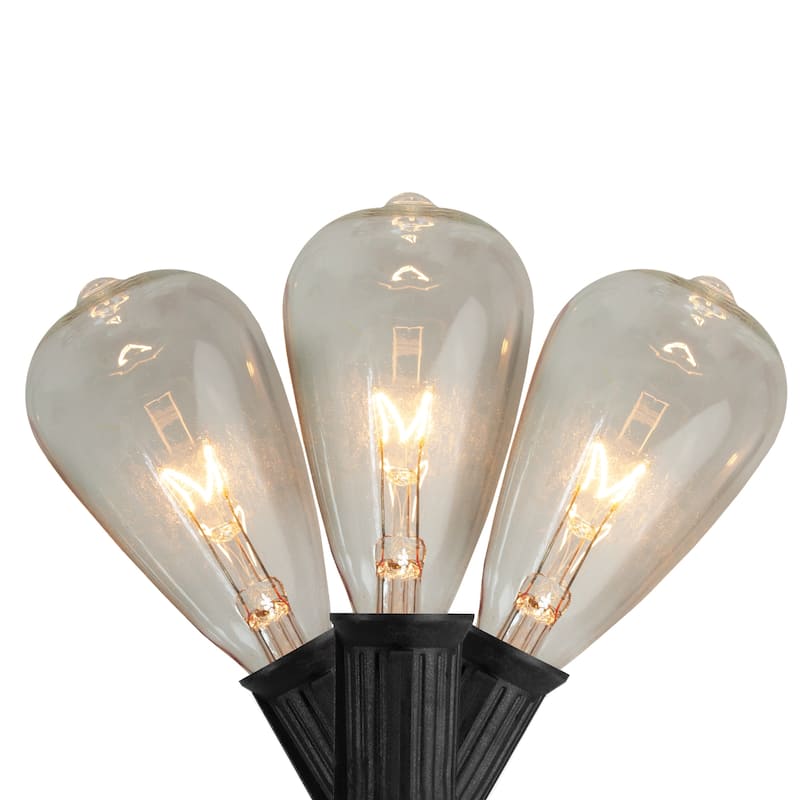 10 Count Clear Edison Glass Patio Lights 9ft Black Wire - 9'