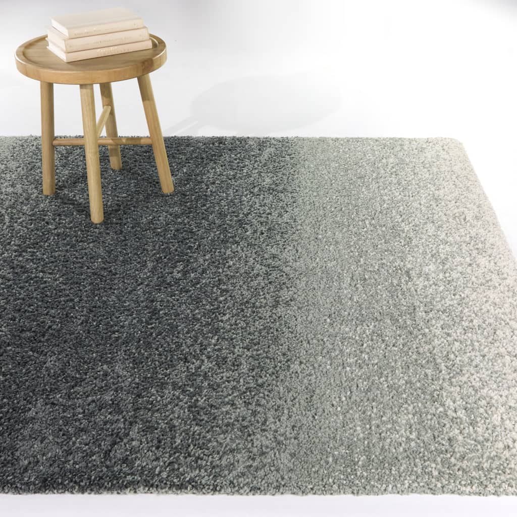 Howland Modern Gradient Area Rug