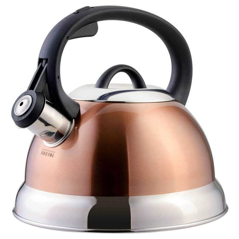 Mr. Coffee Flintshire Stainless Steel 1.75 Quart Whistling Tea Kettle with Stay Cool Handle and Flip-Up Spout - 1.75 Quart