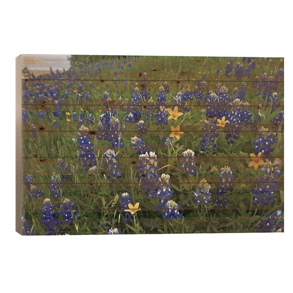 Bluebonnet And Texas Yellowstar Meadow, Cedar Hill State Park, Texas Print On Wood by Tim Fitzharris - Multi-Color