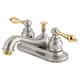 Option Brushed Nickel/Polished Brass