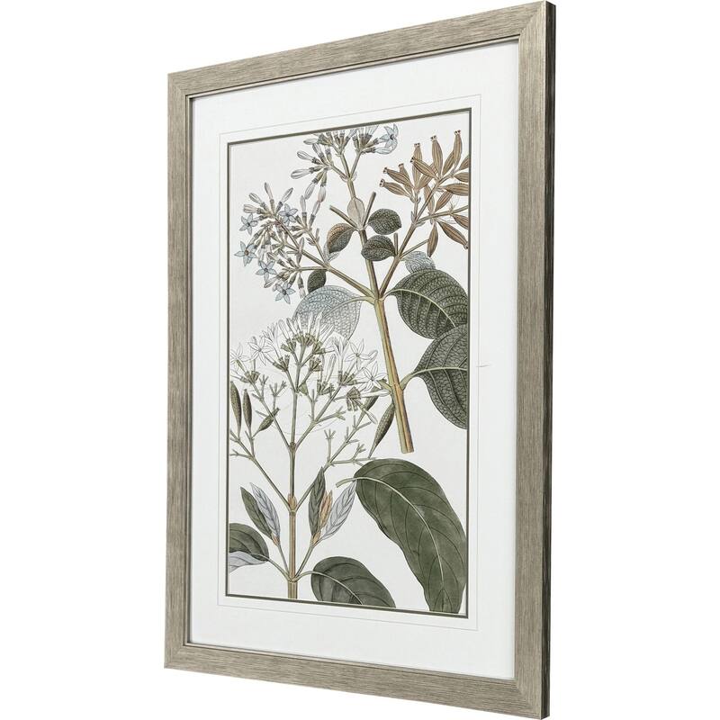Paragon Flowering Botanical II Framed Art