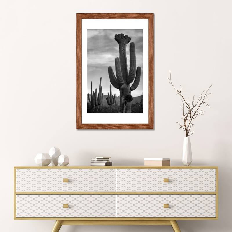 iCanvas "Saguaros, Saguaro National Monument" by Ansel Adams