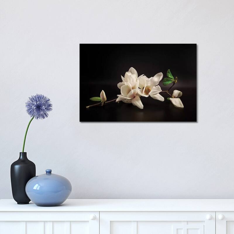iCanvas "Magnolia" by Tony08 Canvas Print - 12x18x1.5