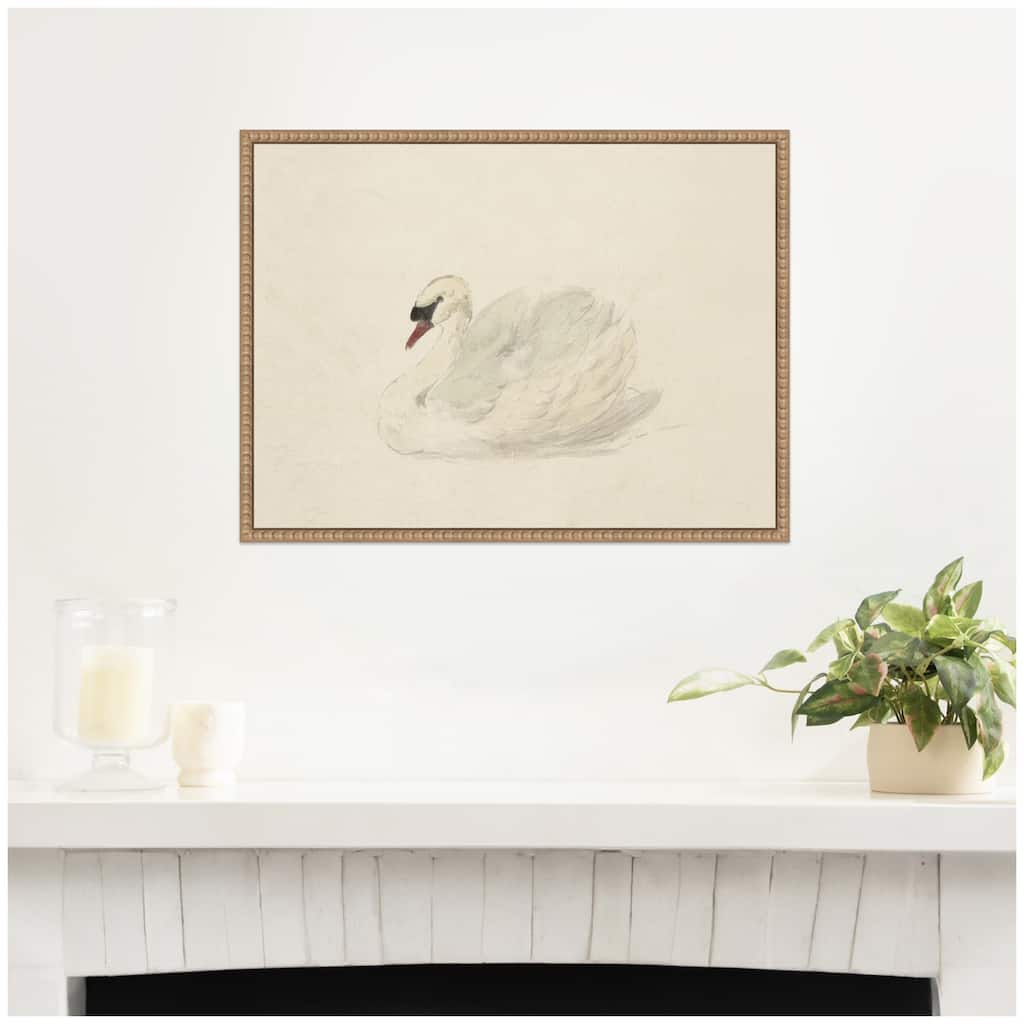 Kate and Laurel Knobbelzwaan 1792 Aert Schouman by Nostalgia Prints Framed Canvas Wall Art Print