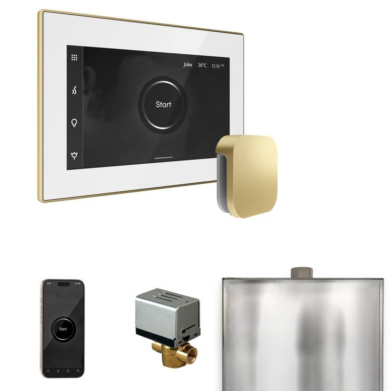 Mr Steam BX Xbutler Package Steam Shower Control Package with Isteamx - White / Satin Brass