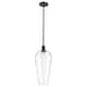 Option Clear / Oil Rubbed Bronze