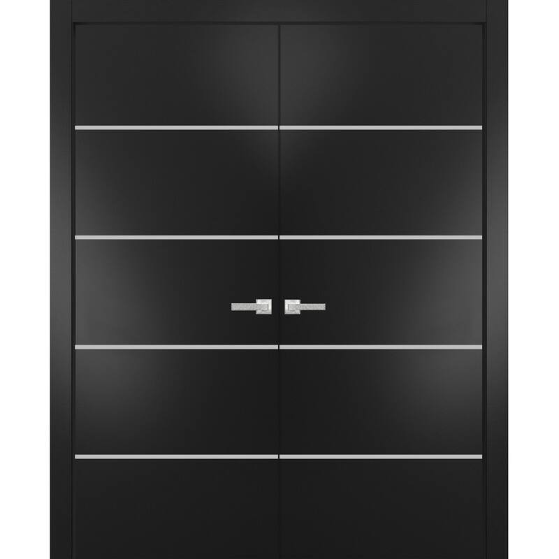 Solid French Double Doors 36 x 80 Planum 0210 Matte Black with - Black - 84" x 84" ( 2* 42x84)