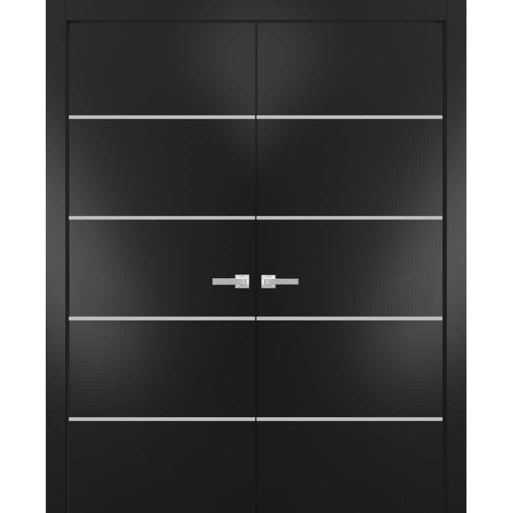 Solid French Double Doors 36 x 80 Planum 0210 Matte Black with