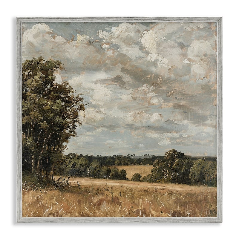 Stupell Clouds Over Country Scenery Framed Giclee Art Design By LSR Creative Studio - 24 x 24 - Grey