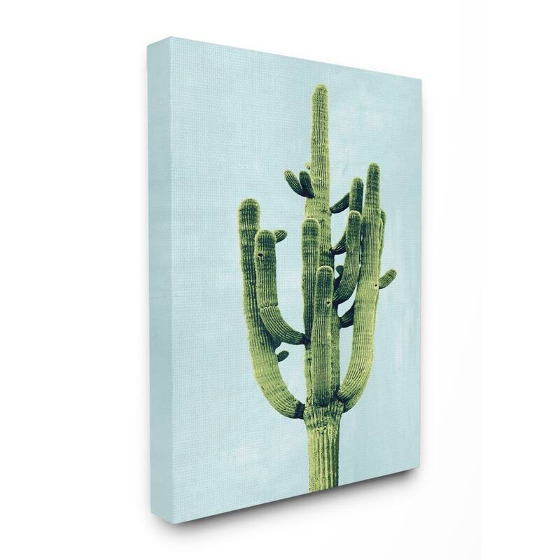 Stupell Pop Desert Cactus Plant Vintage Succulent Blue Green Canvas Wall Art - 24 x 30