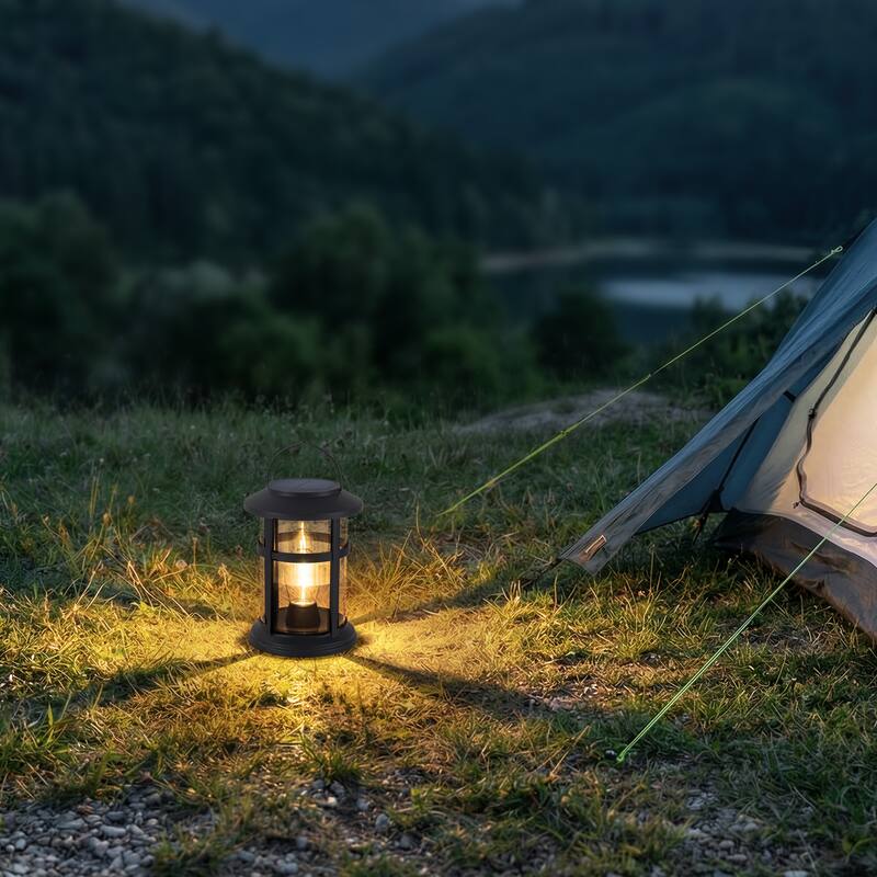 C Cattleya 4 Pack Outdoor Solar Lantern