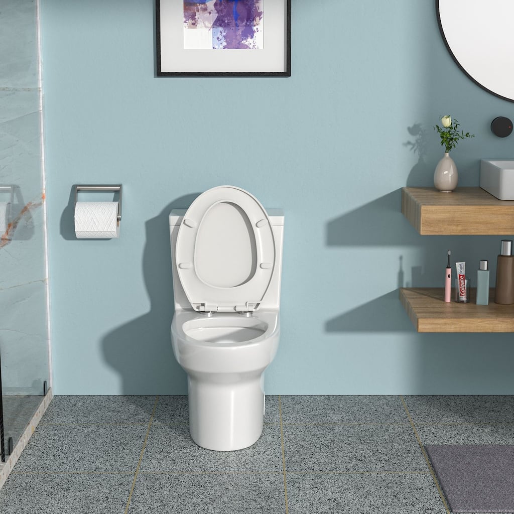 1-piece 1.6 GPF Dual Flush Elongated Toilet in White Seat Included - 30" x 16" x 29"