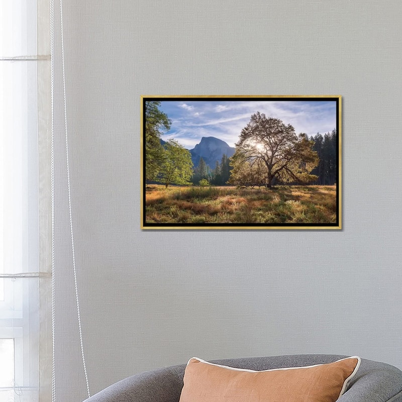 iCanvas "Cook's Meadow" by Adam Burton Framed Canvas Print