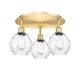 Option Satin Gold / Clear