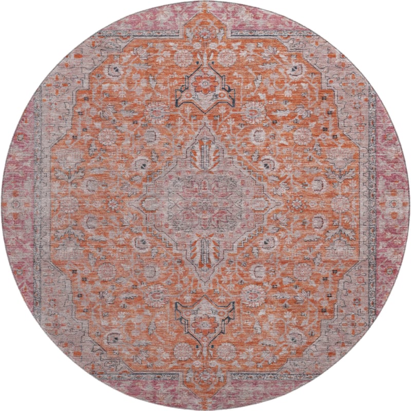 Premium Washable Super Soft Vintage Traditional Mayfield Rug