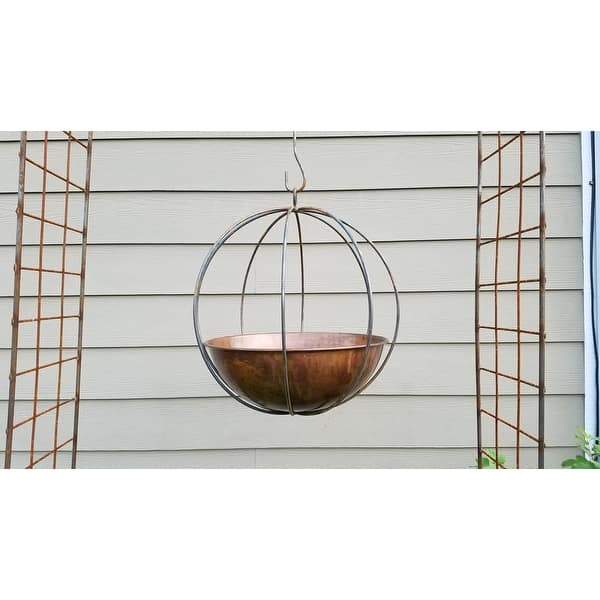 buy philodendron florida ghost Philodendron 'Florida Ghost' 4"