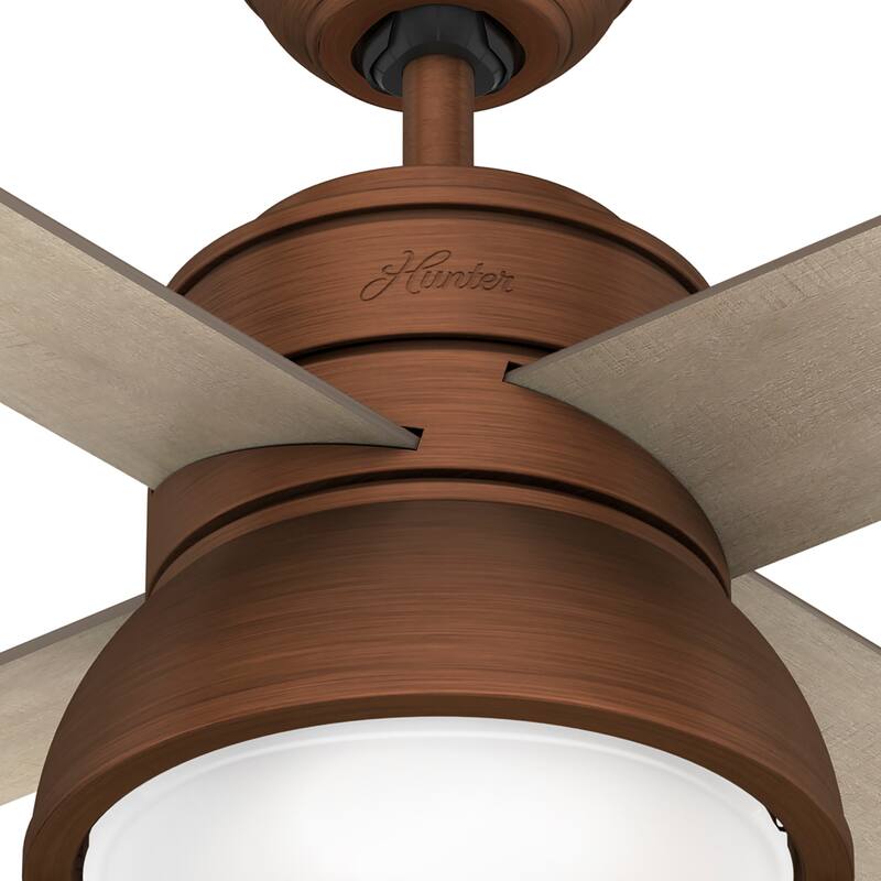 Hunter 36" Loki Ceiling Fan with LED Light - Bedrooms, Home Office, Laundry - Rustic, Farmhouse