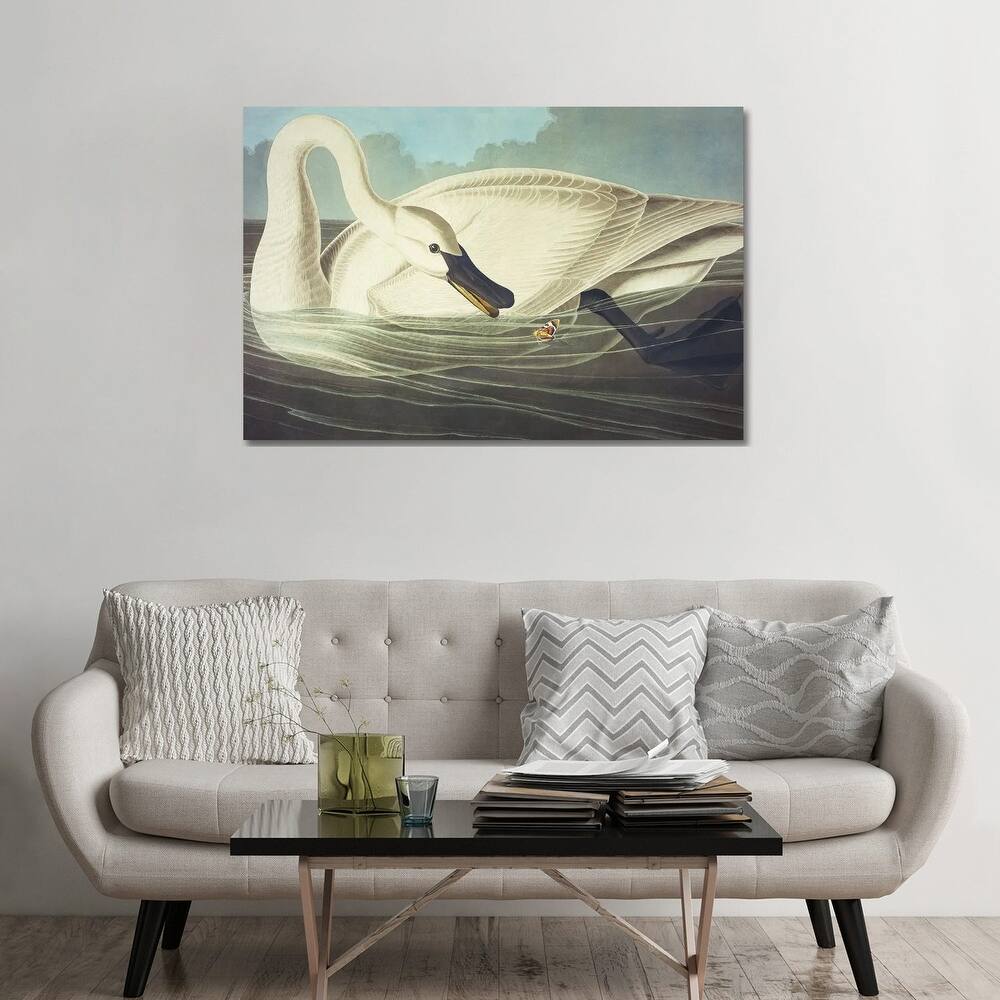 iCanvas "Trumpeter Swan II" by John James Audubon Canvas Print