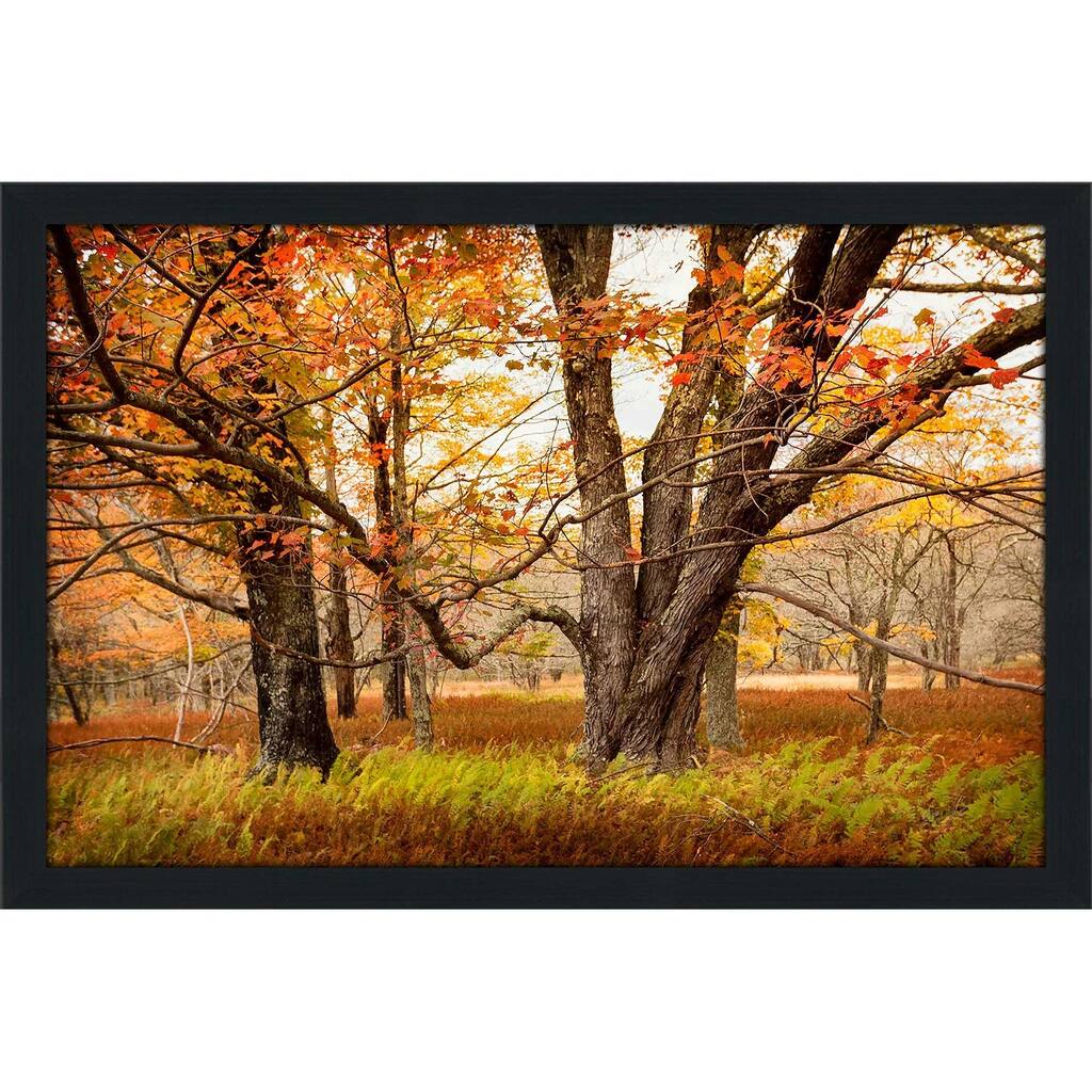 "Crossing Paths (Horizontal)" Print on Acrylic