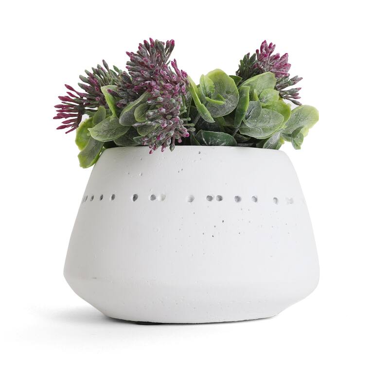 Succulent Garden - Mini - Valencia - 1 Pack