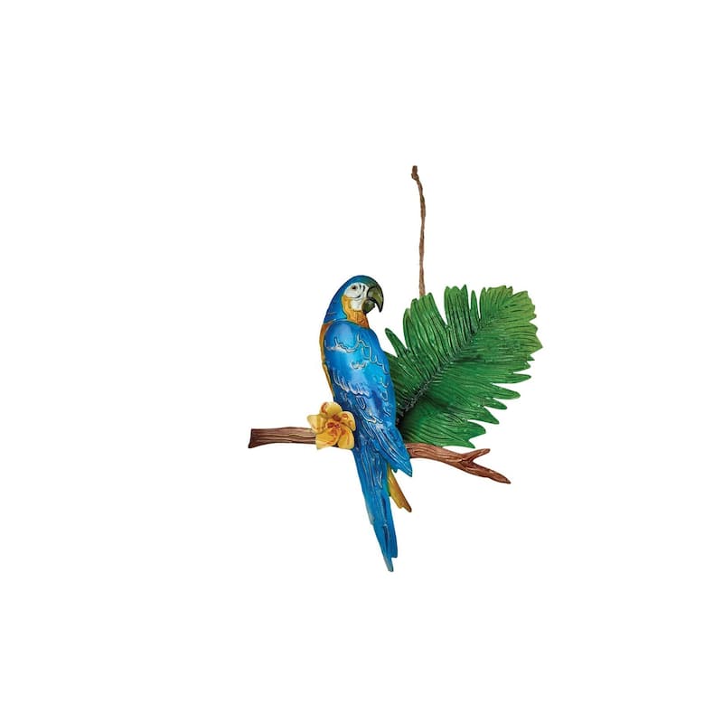 Rainforest Bird Ornament, Set of 3 - Set of 3