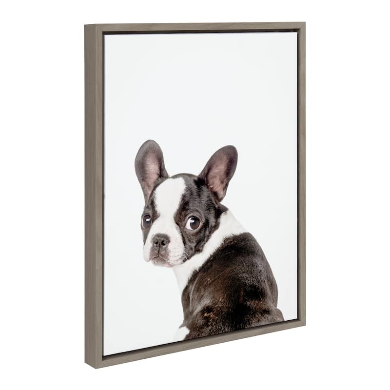Kate and Laurel Sylvie Animal Studio French Bulldog Framed Canvas by Amy Peterson Art Studio - 18x24 - Grey