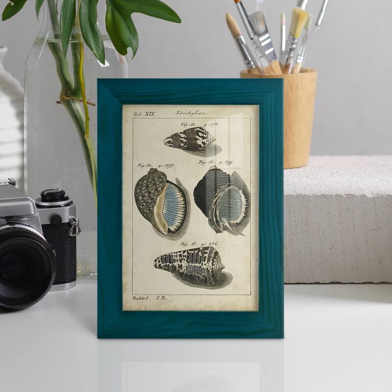 Vintage Shell Study III -Framed Print w/glass-Cherry Red